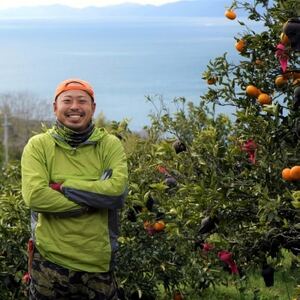 八幡浜産・はるか5.5kg[数量限定!]【C56-10】【1138744】