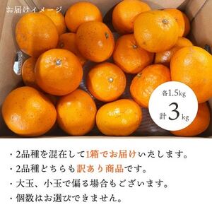 愛媛の人気柑橘2品種をセットに!せとか・甘平 食べ比べ 合計3kg【訳あり】【C25-143】_美味しいみかん 美味しいミカン おいしいみかん おいしいミカン 人気のみかん 人気のミカン 国産みかん 国産ミカン 八幡浜みかん 八幡浜ミカン 甘いみかん 甘いミカン あまいみかん アマイミカン 果物みかん くだものみかん 果物ミカン クダモノミカン 美味しいせとか 美味しいセトカ おいしいせとか おいしいセトカ 人気のせとか 人気のセトカ 国産せとか 国産セトカ 八幡浜せとか 八幡浜セトカ 甘いせとか 甘いセトカ あまいせとか アマイセトカ 果物せとか くだものせとか 果物セトカ クダモノセトカ 美味しい柑橘 おいしい柑橘 人気の柑橘 国産柑橘 八幡浜柑橘 甘い柑橘 あまい柑橘 果物柑橘 くだもの柑橘 美味しい甘平 美味しい甘平 おいしい甘平 おいしい甘平 人気の甘平 人気の甘平 国産甘平 国産甘平 八幡浜甘平 八幡浜甘平 甘い甘平 甘い甘平 あまい甘平 アマイ甘平 果物甘平 くだもの甘平 果物甘平 クダモノ甘平_【1358701】