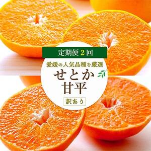 【発送月固定定期便】愛媛の人気2品種を堪能!せとか・甘平 食べ比べ(訳あり)全2回【E25-148】_美味しいみかん 美味しいミカン おいしいみかん おいしいミカン 人気のみかん 人気のミカン 国産みかん 国産ミカン 八幡浜みかん 八幡浜ミカン 甘いみかん 甘いミカン あまいみかん アマイミカン 果物みかん くだものみかん 果物ミカン クダモノミカン 美味しいせとか 美味しいセトカ おいしいせとか おいしいセトカ 人気のせとか 人気のセトカ 国産せとか 国産セトカ 八幡浜せとか 八幡浜セトカ 甘いせとか 甘いセトカ あまいせとか アマイセトカ 果物せとか くだものせとか 果物セトカ クダモノセトカ 美味しい柑橘 おいしい柑橘 人気の柑橘 国産柑橘 八幡浜柑橘 甘い柑橘 あまい柑橘 果物柑橘 くだもの柑橘 美味しい甘平 美味しい甘平 おいしい甘平 おいしい甘平 人気の甘平 人気の甘平 国産甘平 国産甘平 八幡浜甘平 八幡浜甘平 甘い甘平 甘い甘平 あまい甘平 アマイ甘平 果物甘平 くだもの甘平 果物甘平 クダモノ甘平_【4004826】