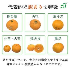 【発送月固定定期便】愛媛の人気2品種を堪能!せとか・甘平 食べ比べ(訳あり)全2回【E25-148】【4004826】