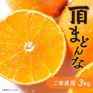 紅まどんなと同じ品種《頂まどんな》ご家庭用 3kg 【C31-22】_美味しいみかん 美味しいミカン おいしいみかん おいしいミカン 人気のみかん 人気のミカン 国産みかん 国産ミカン 八幡浜みかん 八幡浜ミカン 甘いみかん 甘いミカン あまいみかん アマイミカン 果物みかん くだものみかん 果物ミカン クダモノミカン 美味しいまどんな 美味しいマドンナ おいしいまどんな おいしいマドンナ 人気のまどんな 人気のマドンナ 国産まどんな 国産マドンナ 八幡浜まどんな 八幡浜マドンナ 甘いまどんな 甘いマドンナ あまいまどんな アマイマドンナ 果物まどんな くだものまどんな 果物マドンナ クダモノマドンナ 美味しい柑橘 美味しいカンキツ おいしい柑橘 おいしいカンキツ 人気の柑橘 人気のカンキツ 国産柑橘 国産カンキツ 八幡浜柑橘 八幡浜カンキツ 甘い柑橘 甘いカンキツ あまい柑橘 アマイカンキツ 果物柑橘 くだもの柑橘 果物カンキツ クダモノカンキツ_【1329228】