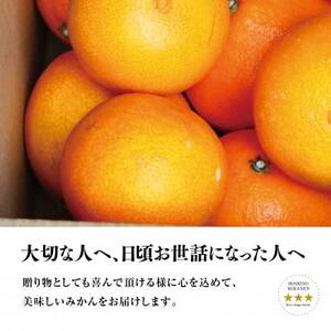 星乃みかん園の 星乃まどんな (3.5kg)【E45-63】_美味しいみかん 美味しいミカン おいしいみかん おいしいミカン 人気のみかん 人気のミカン 国産みかん 国産ミカン 八幡浜みかん 八幡浜ミカン 甘いみかん 甘いミカン あまいみかん アマイミカン 果物みかん くだものみかん 果物ミカン クダモノミカン 美味しいまどんな 美味しいマドンナ おいしいまどんな おいしいマドンナ 人気のまどんな 人気のマドンナ 国産まどんな 国産マドンナ 八幡浜まどんな 八幡浜マドンナ 甘いまどんな 甘いマドンナ あまいまどんな アマイマドンナ 果物まどんな くだものまどんな 果物マドンナ クダモノマドンナ 美味しい柑橘 美味しいカンキツ おいしい柑橘 おいしいカンキツ 人気の柑橘 人気のカンキツ 国産柑橘 国産カンキツ 八幡浜柑橘 八幡浜カンキツ 甘い柑橘 甘いカンキツ あまい柑橘 アマイカンキツ 果物柑橘 くだもの柑橘 果物カンキツ クダモノカンキツ_【1339327】