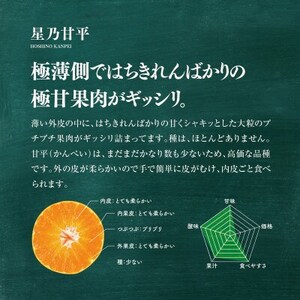 【訳あり】星乃みかん園の星乃 甘平(4kg)【D45-82】_美味しいみかん 美味しいミカン おいしいみかん おいしいミカン 人気のみかん 人気のミカン 国産みかん 国産ミカン 八幡浜みかん 八幡浜ミカン 甘いみかん 甘いミカン あまいみかん アマイミカン 果物みかん くだものみかん 果物ミカン クダモノミカン 美味しい柑橘 美味しいカンキツ おいしい柑橘 おいしいカンキツ 人気の柑橘 人気のカンキツ 国産柑橘 国産カンキツ 八幡浜柑橘 八幡浜カンキツ 甘い柑橘 甘いカンキツ あまい柑橘 アマイカンキツ 果物柑橘 くだもの柑橘 果物カンキツ クダモノカンキツ 美味しい愛媛 美味しいエヒメ おいしい愛媛 おいしいエヒメ 人気の愛媛 人気のエヒメ 国産愛媛 国産エヒメ 八幡浜愛媛 八幡浜エヒメ 甘い愛媛 甘いエヒメ あまい愛媛 アマイエヒメ 果物愛媛 くだもの愛媛 果物エヒメ クダモノエヒメ 美味しい甘平 美味しいかんぺい おいしい甘平 おいしいかんぺい 果物甘平 くだものかんぺい 果物かんぺい クダモノ甘平_【1432775】