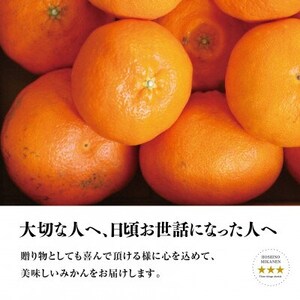 【訳あり】星乃みかん園の星乃 甘平(4kg)【D45-82】_美味しいみかん 美味しいミカン おいしいみかん おいしいミカン 人気のみかん 人気のミカン 国産みかん 国産ミカン 八幡浜みかん 八幡浜ミカン 甘いみかん 甘いミカン あまいみかん アマイミカン 果物みかん くだものみかん 果物ミカン クダモノミカン 美味しい柑橘 美味しいカンキツ おいしい柑橘 おいしいカンキツ 人気の柑橘 人気のカンキツ 国産柑橘 国産カンキツ 八幡浜柑橘 八幡浜カンキツ 甘い柑橘 甘いカンキツ あまい柑橘 アマイカンキツ 果物柑橘 くだもの柑橘 果物カンキツ クダモノカンキツ 美味しい愛媛 美味しいエヒメ おいしい愛媛 おいしいエヒメ 人気の愛媛 人気のエヒメ 国産愛媛 国産エヒメ 八幡浜愛媛 八幡浜エヒメ 甘い愛媛 甘いエヒメ あまい愛媛 アマイエヒメ 果物愛媛 くだもの愛媛 果物エヒメ クダモノエヒメ 美味しい甘平 美味しいかんぺい おいしい甘平 おいしいかんぺい 果物甘平 くだものかんぺい 果物かんぺい クダモノ甘平_【1432775】