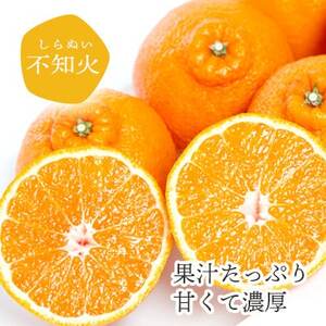 【2025年2月以降発送】デコポンと同品種 濃厚柑橘 不知火(しらぬい) 5kg【D25-125】【1268367】