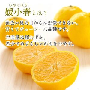 愛媛でしか栽培できない希少柑橘 媛小春(ひめこはる)のジュースと寒天ゼリーセット【D25-84】【1309625】