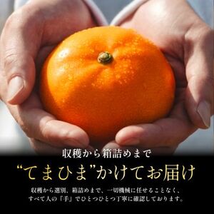 柑橘の大トロ【せとか 3kg】～とろける濃厚果実～【E70-9】【1451140】