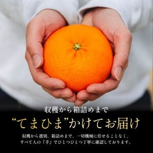 【シャキッとした食感と弾ける粒感】甘平2kg【C70-10】【1451141】