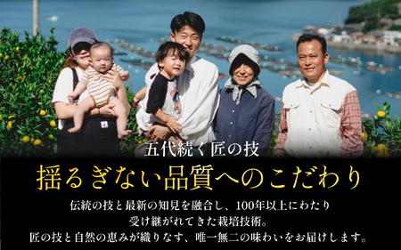 【樹上完熟】不知火(デコ)3kg『甘みと程よい酸味のバランスが絶妙』【C70-29】【1470656】