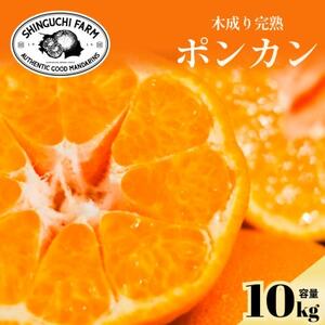 【甘味と酸味のバランスが絶妙】ポンカン 10kg 愛媛県産【G70-25】【1470663】