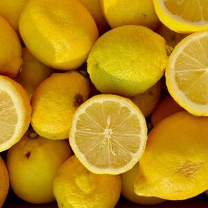 【訳あり】新口農園 レモン 5kg【C70-22】【1470676】