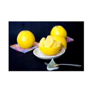 八幡浜産・河内晩柑10kg【訳あり】【D56-53】【配送不可地域：離島】【1508531】