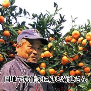 【JAS認証有機栽培】濃厚な味わいの温州みかん!!菊池農園「南柑20号」5kg【C39-23】【1044610】