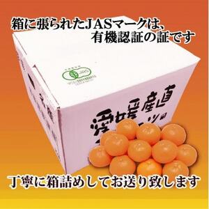 【JAS認証有機栽培】濃厚な味わいの温州みかん!!菊池農園「南柑20号」5kg【C39-23】【1044610】