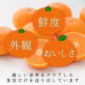 コウ果樹園の【厳選】「甘平」3kg【C33-11】【1056131】
