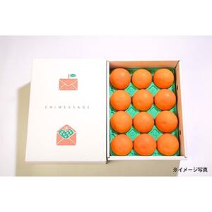 コウ果樹園の【厳選】「甘平」3kg【C33-11】【1056131】