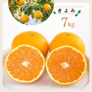 コウ果樹園の「きよみ」大ボリューム7kg【C33-19】【1064379】 7,200円