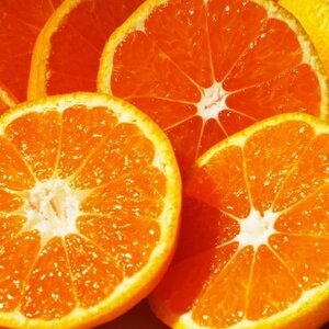 厳選 甘ーい小玉!西宇和みかん(ハローキティパッケージ)約3.5kg入【C24-7】【1121015】