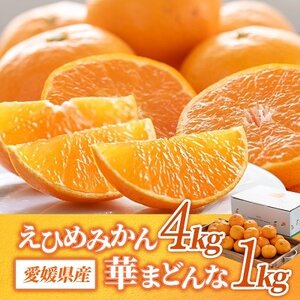 コウ果樹園の「えひめみかん4kg・華まどんな1kg 詰め合せ」【C33-12】_美味しいみかん 美味しいミカン おいしいみかん おいしいミカン 人気のみかん 人気のミカン 国産みかん 国産ミカン 八幡浜みかん 八幡浜ミカン 甘いみかん 甘いミカン あまいみかん アマイミカン 果物みかん くだものみかん 果物ミカン クダモノミカン 美味しいまどんな 美味しいマドンナ おいしいまどんな おいしいマドンナ 人気のまどんな 人気のマドンナ 国産まどんな 国産マドンナ 八幡浜まどんな 八幡浜マドンナ 甘いまどんな 甘いマドンナ あまいまどんな アマイマドンナ 果物まどんな くだものまどんな 果物マドンナ クダモノマドンナ 美味しい柑橘 美味しいカンキツ おいしい柑橘 おいしいカンキツ 人気の柑橘 人気のカンキツ 国産柑橘 国産カンキツ 八幡浜柑橘 八幡浜カンキツ 甘い柑橘 甘いカンキツ あまい柑橘 アマイカンキツ 果物柑橘 くだもの柑橘 果物カンキツ クダモノカンキツ_【1123769】