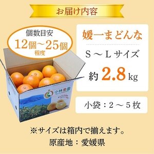 小林果園の媛一まどんな(約2.8kg)【C24-16】_美味しいみかん 美味しいミカン おいしいみかん おいしいミカン 人気のみかん 人気のミカン 国産みかん 国産ミカン 八幡浜みかん 八幡浜ミカン 甘いみかん 甘いミカン あまいみかん アマイミカン 果物みかん くだものみかん 果物ミカン クダモノミカン 美味しいまどんな 美味しいマドンナ おいしいまどんな おいしいマドンナ 人気のまどんな 人気のマドンナ 国産まどんな 国産マドンナ 八幡浜まどんな 八幡浜マドンナ 甘いまどんな 甘いマドンナ あまいまどんな アマイマドンナ 果物まどんな くだものまどんな 果物マドンナ クダモノマドンナ 美味しい柑橘 美味しいカンキツ おいしい柑橘 おいしいカンキツ 人気の柑橘 人気のカンキツ 国産柑橘 国産カンキツ 八幡浜柑橘 八幡浜カンキツ 甘い柑橘 甘いカンキツ あまい柑橘 アマイカンキツ 果物柑橘 くだもの柑橘 果物カンキツ クダモノカンキツ_【1124422】