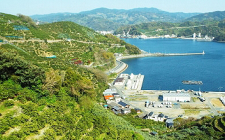 小林果園の宮内いよかん(約5kg)【C24-19】【1124425】