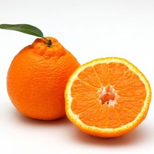 小林果園のせとか&不知火セット(各約2.5kg入)【C24-21】【1124427】