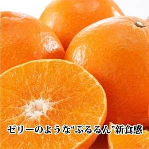 ギフト対応化粧箱入・上杉農園のぷるぷる新食感!「マドンナ」約3kg【D39-16】【1251804】