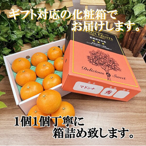 ギフト対応化粧箱入・上杉農園のぷるぷる新食感!「マドンナ」約3kg【D39-16】【1251804】