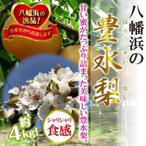 八幡浜の梨、果汁たっぷり!!「豊水」4キロ【D39-37】【配送不可地域：離島】【1316567】 6,750円