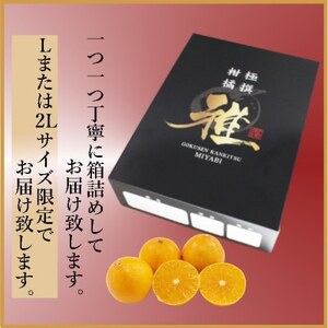 極撰柑橘“雅”光センサー合格品・柑橘の大トロ「 せとか 」2キロ　【C39-47】_美味しいみかん 美味しいミカン おいしいみかん おいしいミカン 人気のみかん 人気のミカン 国産みかん 国産ミカン 八幡浜みかん 八幡浜ミカン 甘いみかん 甘いミカン あまいみかん アマイミカン 果物みかん くだものみかん 果物ミカン クダモノミカン 美味しいせとか 美味しいセトカ おいしいせとか おいしいセトカ 人気のせとか 人気のセトカ 国産せとか 国産セトカ 八幡浜せとか 八幡浜セトカ 甘いせとか 甘いセトカ あまいせとか アマイセトカ 果物せとか くだものせとか 果物セトカ クダモノセトカ 美味しい柑橘 美味しいカンキツ おいしい柑橘 おいしいカンキツ 人気の柑橘 人気のカンキツ 国産柑橘 国産カンキツ 八幡浜柑橘 八幡浜カンキツ 甘い柑橘 甘いカンキツ あまい柑橘 アマイカンキツ 果物柑橘 くだもの柑橘 果物カンキツ クダモノカンキツ 美味しい愛媛 _【配送不可地域：離島】【1380610】