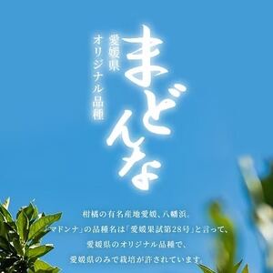 2024年11月発送開始　ぷるぷる食感!!「 まどんな 」約 4キロ【 訳あり 】【C39-44】_美味しいみかん 美味しいミカン おいしいみかん おいしいミカン 人気のみかん 人気のミカン 国産みかん 国産ミカン 八幡浜みかん 八幡浜ミカン 甘いみかん 甘いミカン あまいみかん アマイミカン 果物みかん くだものみかん 果物ミカン クダモノミカン 美味しいまどんな 美味しいマドンナ おいしいまどんな おいしいマドンナ 人気のまどんな 人気のマドンナ 国産まどんな 国産マドンナ 八幡浜まどんな 八幡浜マドンナ 甘いまどんな 甘いマドンナ あまいまどんな アマイマドンナ 果物まどんな くだものまどんな 果物マドンナ クダモノマドンナ 美味しい柑橘 美味しいカンキツ おいしい柑橘 おいしいカンキツ 人気の柑橘 人気のカンキツ 国産柑橘 国産カンキツ 八幡浜柑橘 八幡浜カンキツ 甘い柑橘 甘いカンキツ あまい柑橘 アマイカンキツ 果物柑橘 くだもの柑橘 果物カンキツ クダモノカンキツ_【配送不可地域：離島】【1419628】