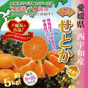 2025年2月発送開始　柑橘の大トロ!「せとか」約5キロ　限定250個【訳あり品】【C39-52】_美味しいみかん 美味しいミカン おいしいみかん おいしいミカン 人気のみかん 人気のミカン 国産みかん 国産ミカン 八幡浜みかん 八幡浜ミカン 甘いみかん 甘いミカン あまいみかん アマイミカン 果物みかん くだものみかん 果物ミカン クダモノミカン 美味しいせとか 美味しいセトカ おいしいせとか おいしいセトカ 人気のせとか 人気のセトカ 国産せとか 国産セトカ 八幡浜せとか 八幡浜セトカ 甘いせとか 甘いセトカ あまいせとか アマイセトカ 果物せとか くだものせとか 果物セトカ クダモノセトカ 美味しい柑橘 おいしい柑橘 人気の柑橘 人気のカンキツ 国産柑橘 八幡浜柑橘 甘い柑橘 あまい柑橘 アマイカンキツ 果物柑橘 くだもの柑橘 果物カンキツ クダモノカンキツ 美味しい訳アリ 美味しい訳あり おいしい訳あり おいしい訳アリ 人気の訳アリ 人気の訳あり 国産訳アリ 国産訳あり 八幡浜訳アリ 八幡浜訳あり 甘い訳アリ 甘い訳あり あまい訳アリ アマイ訳あり 果物訳アリ くだもの訳あり 果物訳あり クダモノ訳アリ_【1464339】