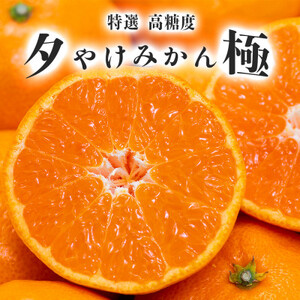 「夕やけブランド」【まどんな】1kg+【夕やけみかん】2kgセット【D49-41】【1508960】