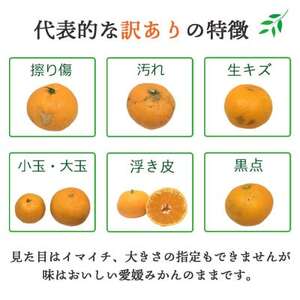 酸味と甘みのバランス◎西宇和地区八幡浜産 愛媛みかん3kg【訳あり】【B25-164】【1509982】