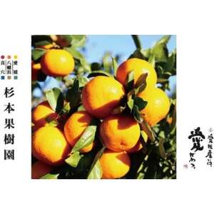 【2025年12月以降順次発送】〈特選〉真穴、八寿みかん(南柑20号)3kg【C34-29】【1510697】