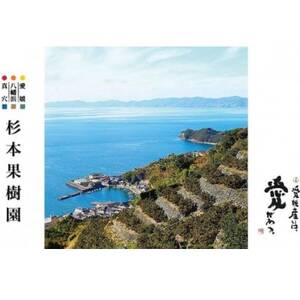 【2025年12月以降順次発送】〈特選〉真穴、八寿みかん(南柑20号)3kg【C34-29】【1510697】