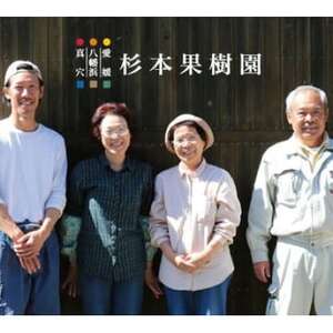 【2025年12月以降順次発送】〈特選〉真穴、八寿みかん(南柑20号)3kg【C34-29】【1510697】