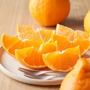 【太陽をたっぷり浴びた】デコ(不知火)【極】3kg【C49-45】【1509742】