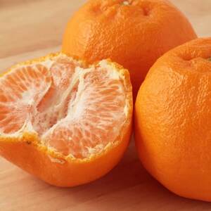 【太陽をたっぷり浴びた】ポンカン【極】5kg【C49-55】【1509752】