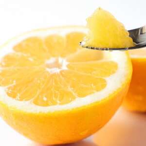 【太陽をたっぷり浴びた】河内晩柑【極】6kg【C49-61】【1509764】