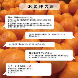 【甘みぎっっしり!】シャキシャキ甘い♪♪【甘平】10kg【H49-65】【1509768】