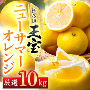 【愛媛名産】玉宝ニューサマーオレンジ　10kg【H64-39】【1510857】