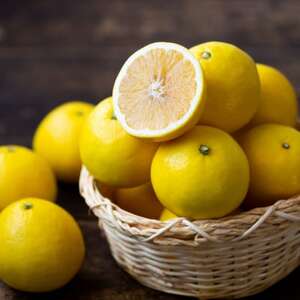 【愛媛名産】玉宝ニューサマーオレンジ　10kg【H64-39】【1510857】