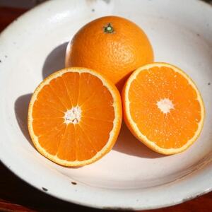 杉本果樹園の清見タンゴール 5kg【C34-13】【1491925】