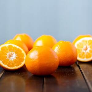 【愛媛名産】玉宝伊予柑　10kg【F64-60】【1510839】