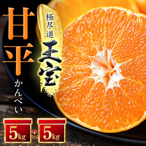 「玉宝ブランド」【甘平】10kg【H64-45】【1511265】