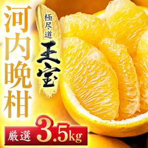 【愛媛名産】玉宝河内晩柑　3.5kg【C64-52】【1511374】