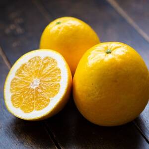 【愛媛名産】玉宝河内晩柑　3.5kg【C64-52】【1511374】