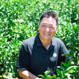 「玉宝ブランド」【まどんな】10kg　※紅まどんな と同品種　【H64-42】【1511380】