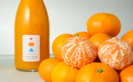 真穴産みかんジュース「SUNSUN」3本セット【E18-11】【1512799】